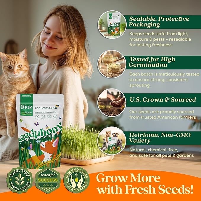 Seedphony Cat Grass Seed Mix – 16 oz Pack with 20,500 Non-GMO Heirloom Seeds for Cats, Barley, Oat, Rye & Wheatgrass for Indoor Growing, Fresh Pet Grass for Digestion & Hairball Control