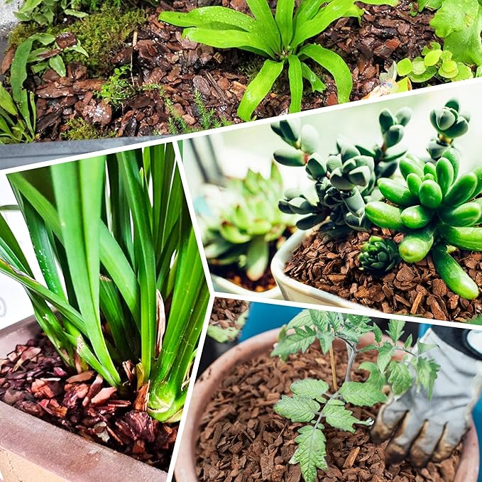 3qt Organic Orchid Potting Bark -Natural Mulch for Potted Plants, Root Development of Orchid Plants and Garden Soil Amendment Mix