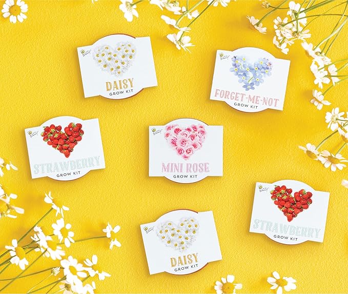 BUZZY Seeds Love Collection Indoor Flower Starter Kit – Terracotta Mini Grow Pots 6-Pack with Strawberry, Mini Rose, Forget-Me-Not, and Daisy Seeds, Valentine’s Day and Wedding Favors