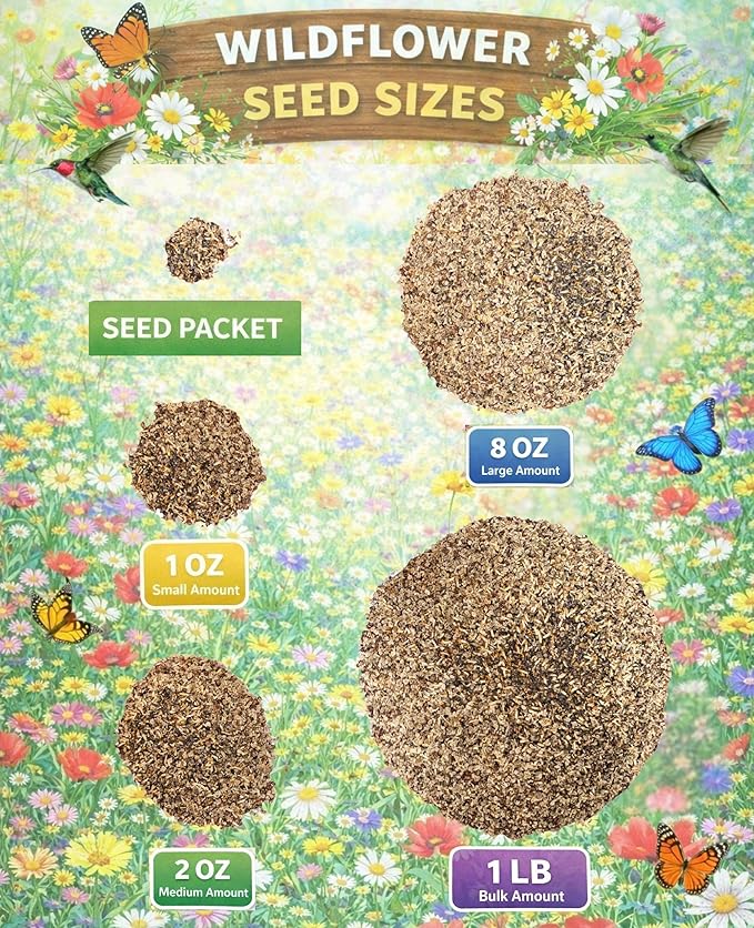 Partial Shade Wildflower Mix - (1LB) - Bring Color to Low-Light Areas that Thrive with Dappled Sun, producing Vibrant Blooms in Yards, Garden beds, Fence Lines, and Woodland Edges.