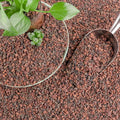 CJGQ 18lb Mix Lava Rocks for Plants - Horticultural Volcanic Rock Gravel for Landscaping, Succulents, Bonsai, Vase Fillers, Terrarium Plants, Top Dressing