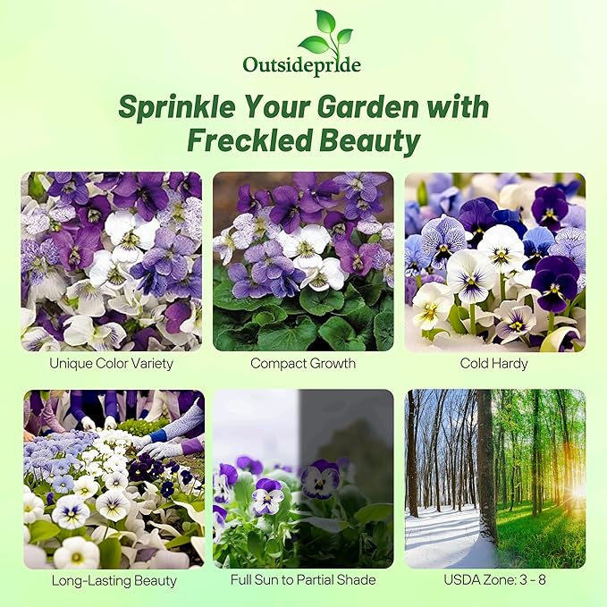Outsidepride Sorority Sisters Viola Pansy Seeds for Planting - 50 Pcs. Perennial, Spreading, Cold-Hardy & Pollinator Friendly Flowers with Fragrant Blooms for Garden Beds & Container Displays