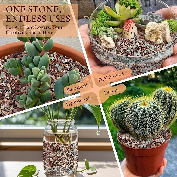 10LB Lava Rocks for Plants-3/8 Volcanic Rock for Succulent Potting Mix, Cactus, Orchids & Bonsai-Porous Horticultural Grit for Drainage, Aeration & pH Balance - Decorative Top Dressing
