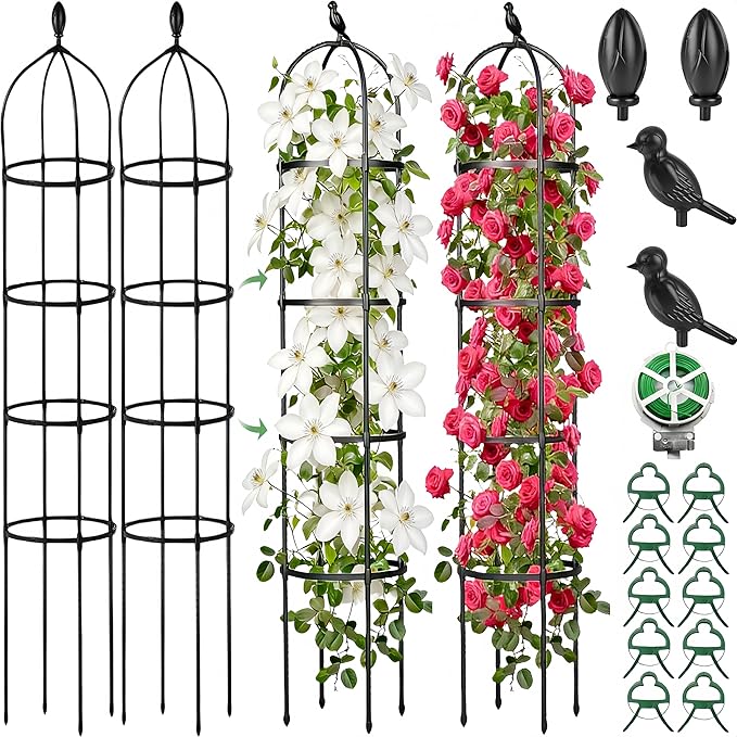 2 Pack Garden Obelisk Trellis for Climbing Plants Outdoor Indoor, 6 Ft Round Rustproof Metal Pot Plant Support Trellis for Rose Bush Clematis Vine Jasmine Flower Morning Glory Potted Plants Black