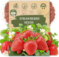 Rare Strawberry Seeds for Planting - 500 Fragaria × Ananassa Non-GMO Heirloom Seeds - Extra Big, Juicy, Sweet Strawberries