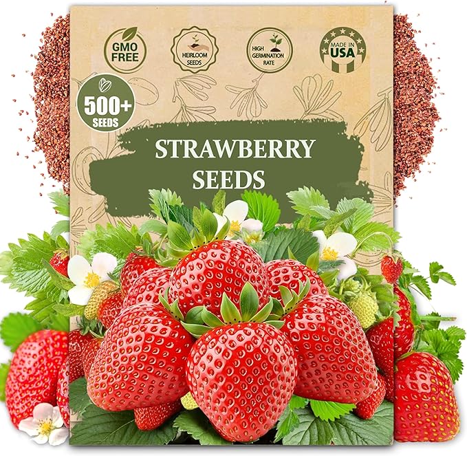 Rare Strawberry Seeds for Planting - 500 Fragaria × Ananassa Non-GMO Heirloom Seeds - Extra Big, Juicy, Sweet Strawberries