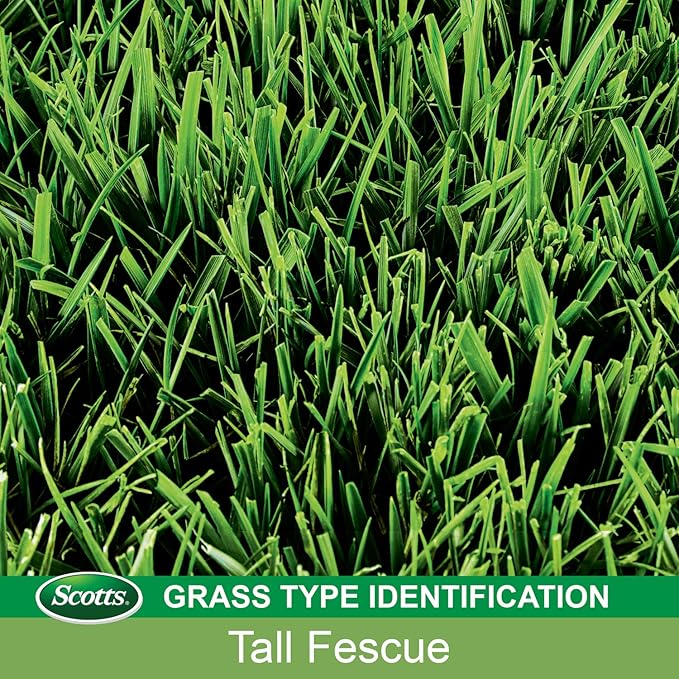 Scotts EZ Seed Dog Spot Repair for Tall Fescue Lawns, Combination Mulch, Grass Seed and Soil Amendment to Neutralize and Repair Pet Damage in Lawns, 2 lb