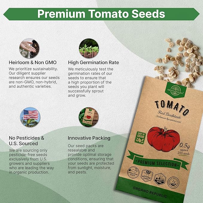 Red Beefsteak Tomato Seeds Pack 0.5 G - Over 250 Non-GMO Heirloom Tomato Seeds for Planting Vegetables in Individual Seed Packet, Vegetable Seeds for Planting Home Garden Indoor & Outdoor Gardening