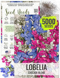 Seed Needs, Cascade Mixture Lobelia Seeds - 5,000 Heirloom Seeds for Planting Lobelia pendula - Colorful Flowers Great for Hanging Baskets, Pots & Containers (1 Pack)