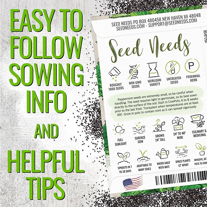 Seed Needs Peppermint Seeds for Planting - Non-GMO, Heirloom & Untreated Medicinal/Culinary Herb to Plant a Home Grown Indoor or Outdoor Garden (10 Packs)