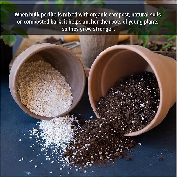 Palmetto Vermiculite Company 4 Cubic Foot Planting Soil Additive (Perlite)