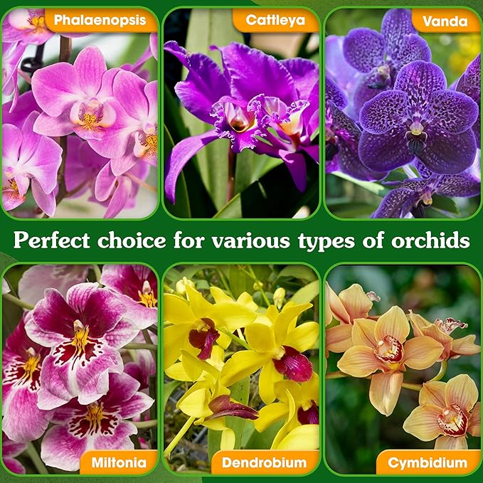 5-in-1 Orchid Potting Mix with Forest Moss, Pine Bark, Perlite, Zeolite, and Pumice – Orchid Soil, Orchid Repotting Kit for Healthy Roots, Fast Drainage, and Support for Growth 2 QRT
