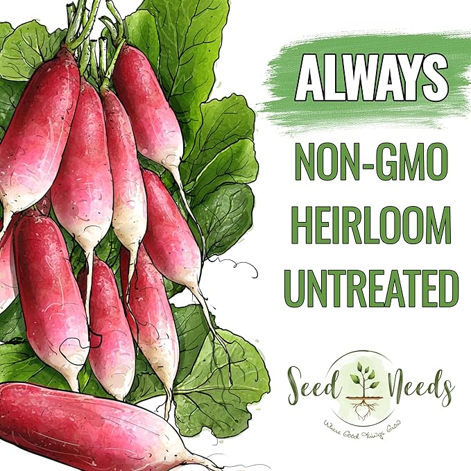 Seed Needs Radish Seeds for Planting French Breakfast Radishes - Non-GMO Heirloom & Untreated - Grow a Home Grown Vegetable Garden - Cool Weather Crops (1 Pack)