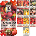 Tomato Seeds | 10 Invidiual Packs | 2025 Season | Non-GMO | Roma, Brandywine, Cherry & More! | for Planting Indoor & Outdoor | by Family Sown