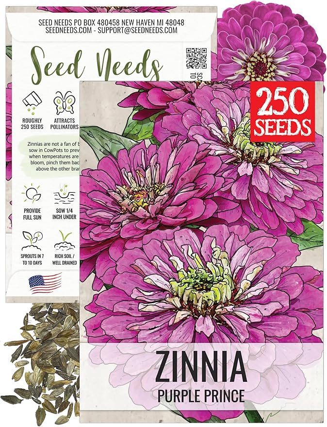 Seed Needs Zinnia Seeds for Planting Purple Prince Zinnias - Heirloom & Open Pollinated Wildflower Seed to Plant a Butterfly Garden - Great for Cut Flowers (1 Pack)