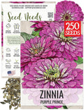 Seed Needs Zinnia Seeds for Planting Purple Prince Zinnias - Heirloom & Open Pollinated Wildflower Seed to Plant a Butterfly Garden - Great for Cut Flowers (1 Pack)
