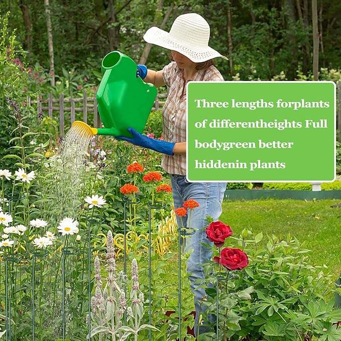 36 Inch Plant Stakes Tall, Three Sizes(12 or 24 or 36 Inch) Plant Support Stakes for Outdoor or Indoor,Garden Plant Stakes for Flowers Amaryllis Tomato Lily Peony Rose Flower Narcissus (4 Set) (8)
