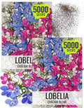 Seed Needs, Cascade Mixture Lobelia Seeds - 5,000 Heirloom Seeds for Planting Lobelia pendula - Colorful Flowers Great for Hanging Baskets, Pots & Containers (2 Packs)