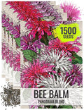 Seed Needs Panorama Mixed Bee Balm Seeds for Planting - Heirloom & Open Pollinated Perennial - Mixture of Colorful Flowers to Grow a Butterfly Garden (5 Packs)
