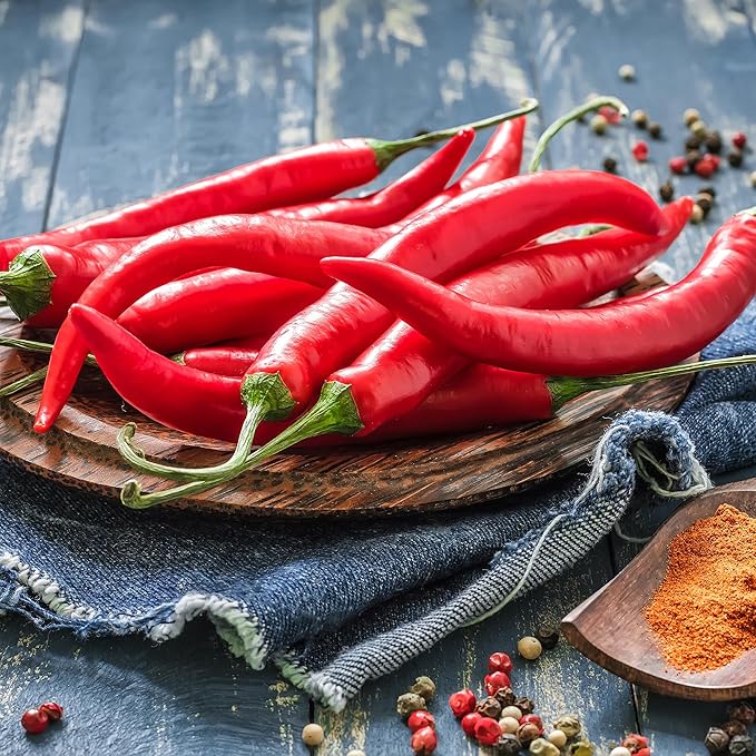 Back to The Roots 100% Organic Seed Packet - Chili Pepper 'Cayenne Thin' 140mg