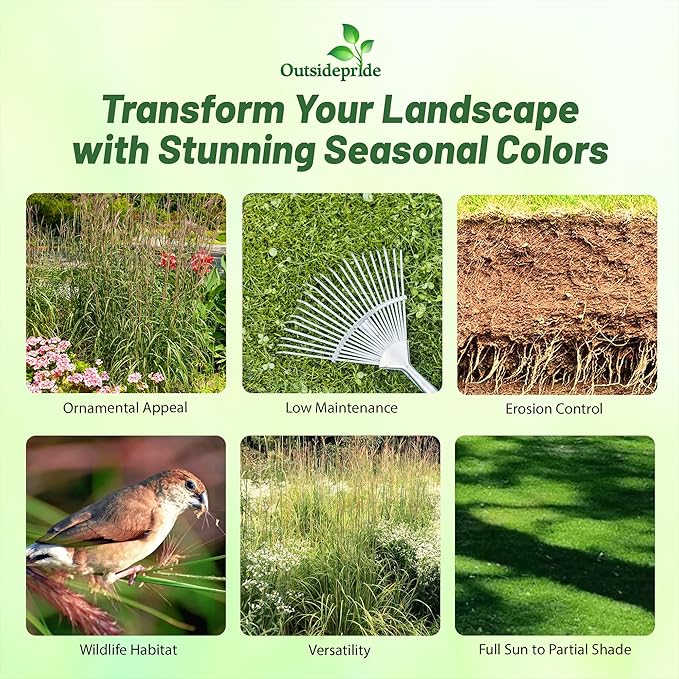 Outsidepride Perennial Andropogon Big Bluestem Grass Seed - 10 lbs. Warm Season, Drought Resistant, Native Prairie Grass Seed, Ideal for Erosion Control, Ornamental Landscaping & Wildlife Gardens