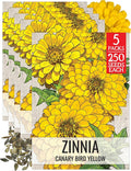 Seed Needs Zinnia Seeds for Planting Canary Bird Yellow Zinnias - Heirloom & Open Pollinated Annual Cut Flowers for a Butterfly Garden (5 Packs)