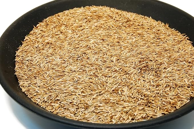 Kentucky 31 K31 Tall Fescue Grass Seed by Eretz - Choose Size! State Certified, No fillers, No Weed or Other Crop Seeds (3lbs)