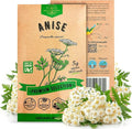 Organo Republic Anise Seeds Pack 5G - Over 1800 Non-GMO Heirloom Anise Seeds for Planting Herbs in Individual Seed Packet, Herbs Seeds for Planting Home Garden Indoor & Outdoor Gardening