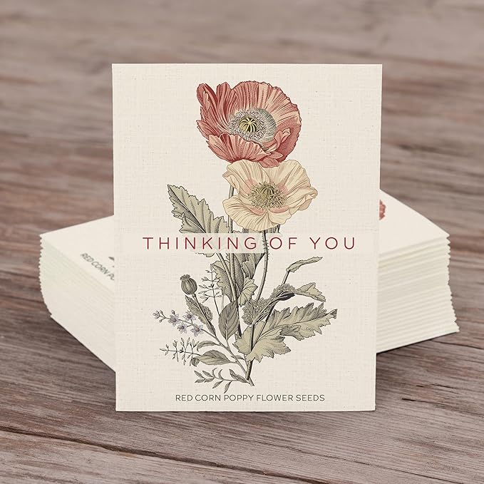 Bentley Classic Vintage Art Poppy Packets, Thinking of You Flanders Corn Seeds, Thoughtful Illustrated Flower Design, Eco-Friendly Hand Out, Sentimental Gift, 25 Pack