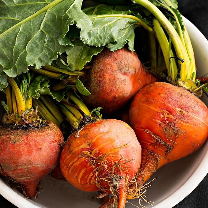 Purely Organic Golden Detroit Beet Seeds - Approx 500 Seeds - USDA Organic, Non-GMO, Open Pollinated, Heirloom, USA Origin