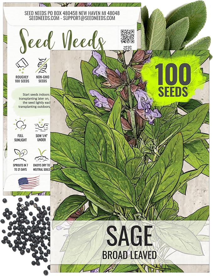Seed Needs Sage Seeds for Planting Broad Leaved Herbs - Non-GMO Heirloom & Untreated Culinary Herb Seed to Plant a Home Grown Garden Indoors or Outdoors (1 Pack)
