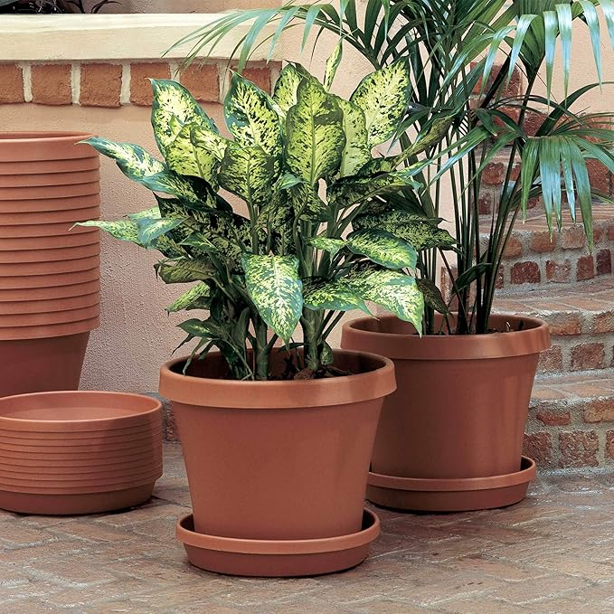 Bloem Terra 8" Diameter Round Terra Cotta Resin Planter Pot with Drainage Holes for Indoor and Outdoor Gardening