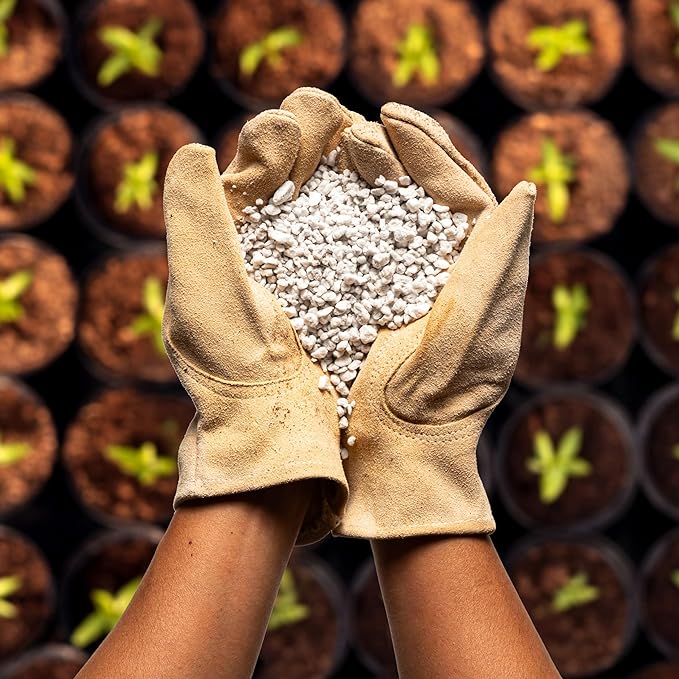 Seed Starting Potting Mix - Coco Coir 650gm Bricks (3-Pack) + Perlite Bliss + Vermiculite Bliss - Organic Potting Soil Mix - Coconut Coir Bricks - Seed Starter Soil for Indoor Plants & Outdoor Plants