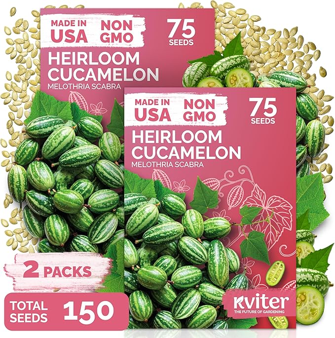 KVITER 150 Cucamelon Seeds for Planting (Melothria Scabra), 2 Pack – Mexican Sour Gherkin Seeds, Gherkin Cucumber, Mexican Mini Watermelon – Heirloom Vegetable Seed for Outdoor & Indoor Garden