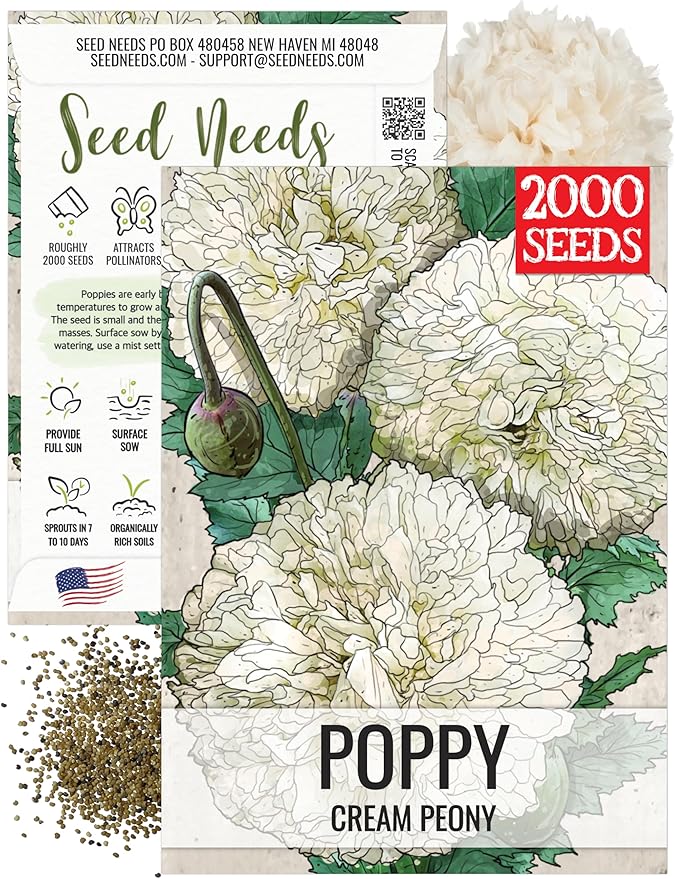 Seed Needs Poppy Seeds for Planting Creamy White Peony Poppies - Heirloom & Open Pollinated Soft White Flowers to Attract Butterflies & Pollinators to a Butterfly Garden (1 Pack)