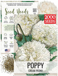 Seed Needs Poppy Seeds for Planting Creamy White Peony Poppies - Heirloom & Open Pollinated Soft White Flowers to Attract Butterflies & Pollinators to a Butterfly Garden (1 Pack)