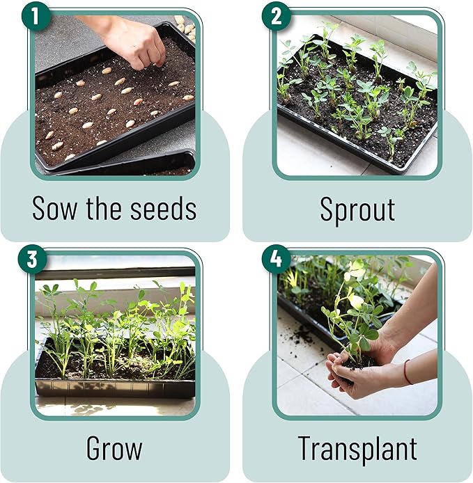 Mr. Pen- Plastic Growing Trays, 10 Pack, Black, 17”x10”, Plant Tray, Seed Tray, Seedling Tray, Propagation Tray, Plant Trays for Seedlings, Seedling Starter Trays, Microgreens Growing Trays