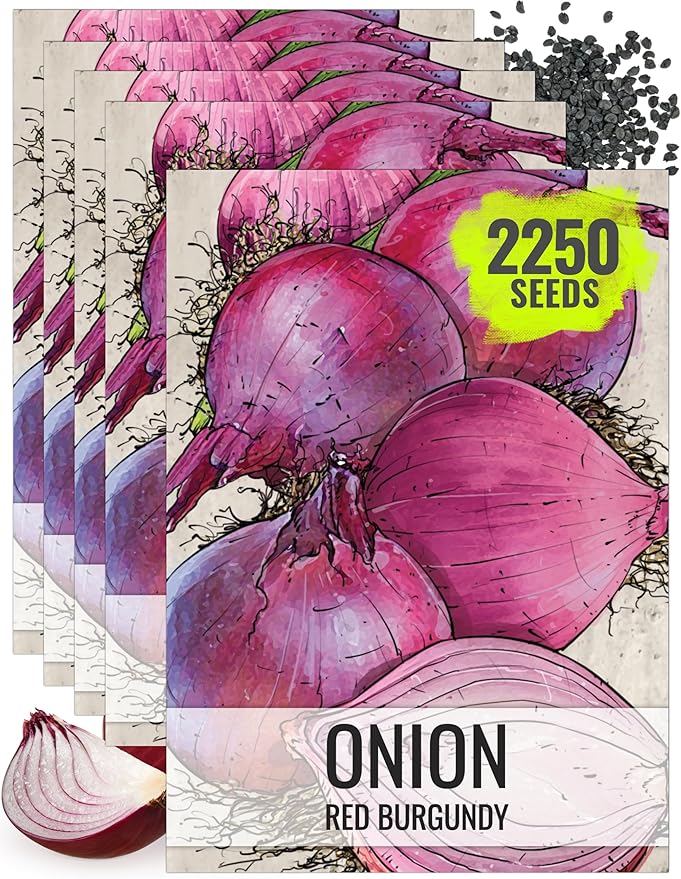 Seed Needs Onion Seeds for Planting Red Burgundy Short Day Onions - Non-GMO Heirloom & Untreated Vegetable Seeds to Plant an Outdoor Home Grown Veggie Garden
