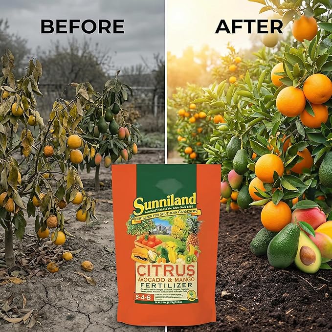 Avocado and Mango 6-4-6 Plant Fertilizer – 20 lb Bag – Granular Plant Food for Avocado, Mango & Citrus Trees – Supports Steady Growth & Seasonal Feeding – Balanced 6-4-6 Garden Formula