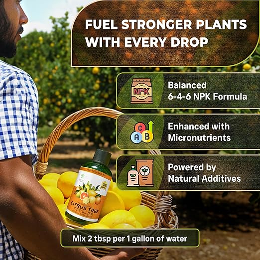 Leaves and Soul Professional Citrus Tree Fertilizer Liquid Concentrate - 6-4-6 Blend for Fruit Tree Fertilizer, Garden - Liquid Plant Food for Citrus Trees in Pots or Outdoors - 8oz