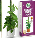 DUSPRO 42’’ Mesh Moss Pole for Climbing Plants, Natural Moss Pole Monstera Plant Support, Real Moss Poles for Plants Indoor, Moss Stick for House Plants, Moss Stakes for Climbing Plants