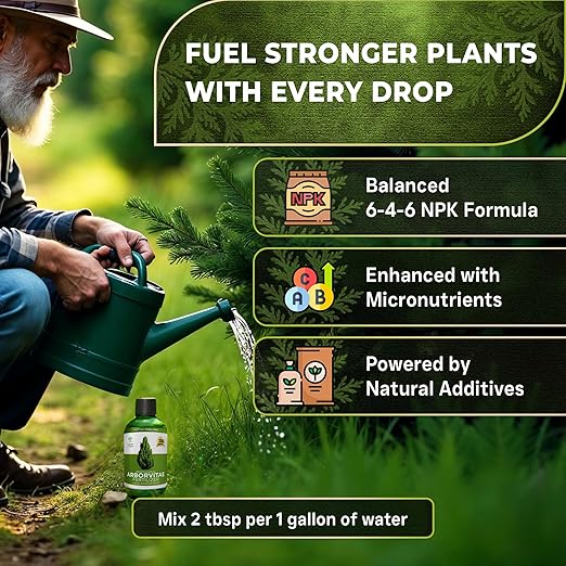 Leaves and Soul Professional Arbor Vitae Tree Fertilizer Liquid Concentrate - 6-4-6 Blend for Arbor Vitae, Garden Use - Liquid Plant Food for Arbor Vitae Trees and Shrubs Outdoors - 8oz