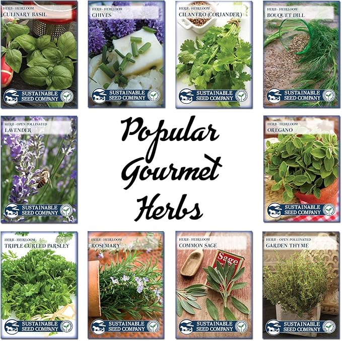 Culinary Herb Garden Kit – 10 Herb Seeds for Planting Indoors or Outdoors + 8 Soil Pucks – Basil, Cilantro, Lavender, Rosemary, Thyme & More