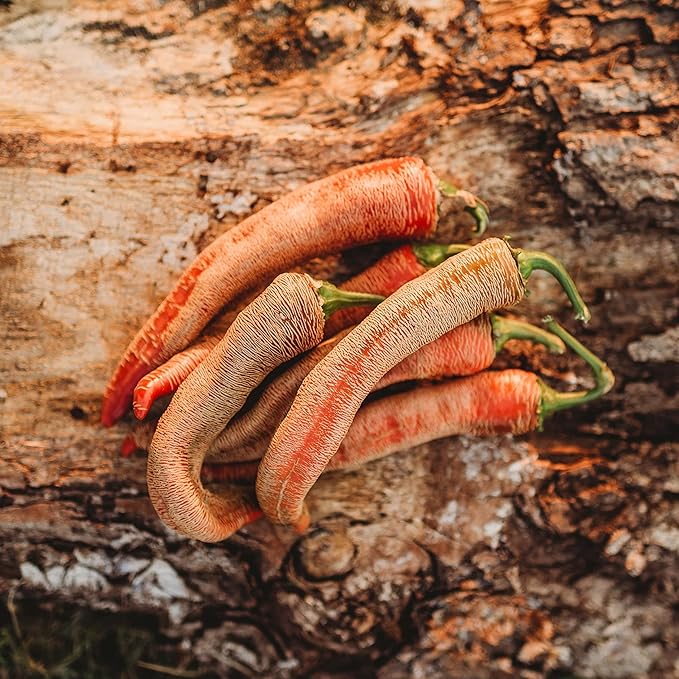 Rezha Macedonian Pepper (Vezeni Piperki) - 10 Seeds - Unique Heirloom Hot Pepper Variety, Uniquely Corked Skins, Non-GMO Chili Pepper Seeds for Planting in The Home Garden, Thresh Seed Company
