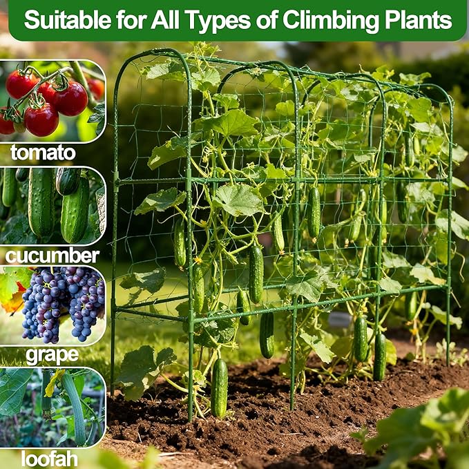 Garden Cucumber Trellis for Climbing Plants, Outdoor Metal Garden Arch Trellis, Plant Support for Vegetables Tomato Trellis Raised Garden Bed (Green, 47.2" Lx21.6 WX47.2 H-M)