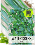 Seed Needs Watercress Seeds for Planting Nasturtium officinale - Non-GMO Heirloom & Untreated - Plant Your own Home Grown Culinary Herb Garden Indoors or Outdoors (10 Packs)