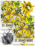 Seed Needs St. Johns Wort Seeds for Planting - Non-GMO Heirloom & Untreated Medicinal Herb Seed to Plant a Home Grown Outdoor or Indoor Garden (2 Packs)