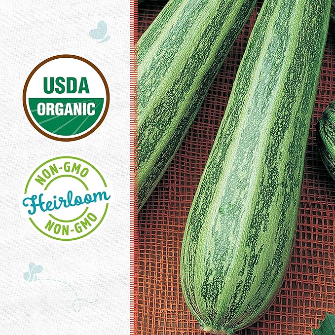 Back to The Roots 100% Organic Seed Packet - Squash 'Summer Cocozelle Zucchini' 2.8g
