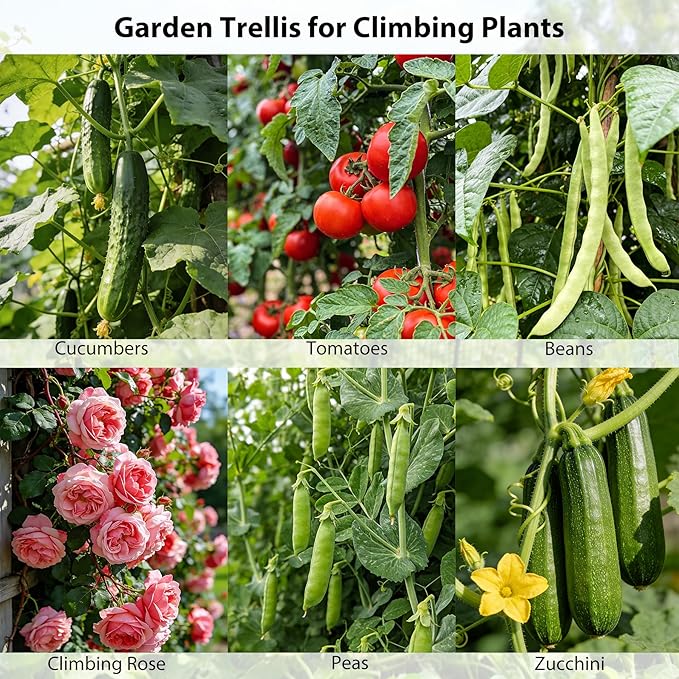 Miory Cucumber Trellis, U Shape Trellis for Raised Bed, Garden Arch Trellis for Climbing Plants Outdoor, Plant Support for Vines, Steel with PE Coated (32" Lx32 Wx63 H)