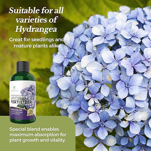 Leaves and Soul Hydrangea Professional Liquid Fertilizer - Complete 3-5-4 Nutrient Blend Concentrate for Enhanced Blooming & Growth - Perfect for Garden & Indoor Plants - New & Improved Blend - 8 oz